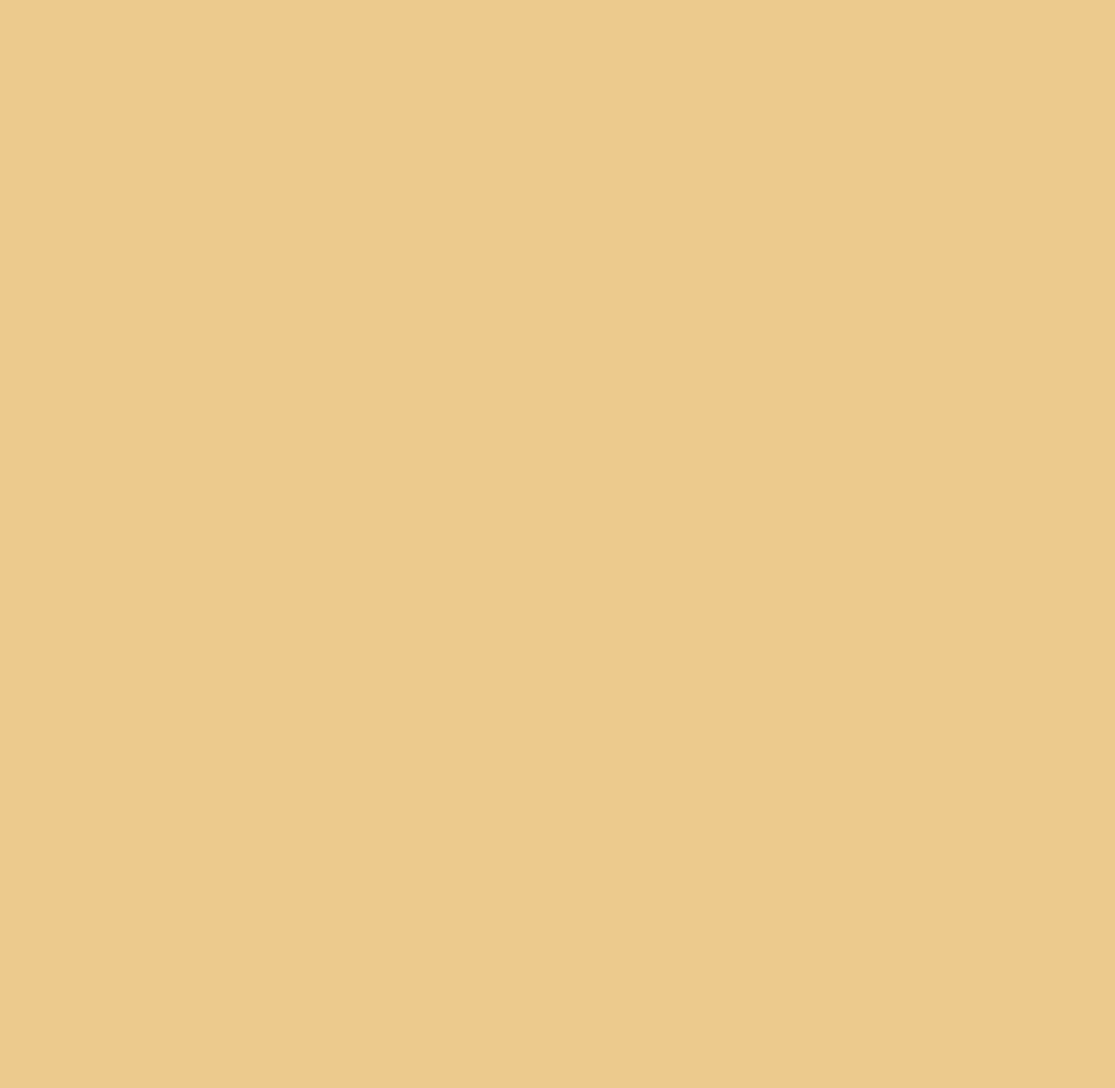 Create It! Solid Natural Colors Cotton Fabric Strips 20pc, 2.5" x 42"