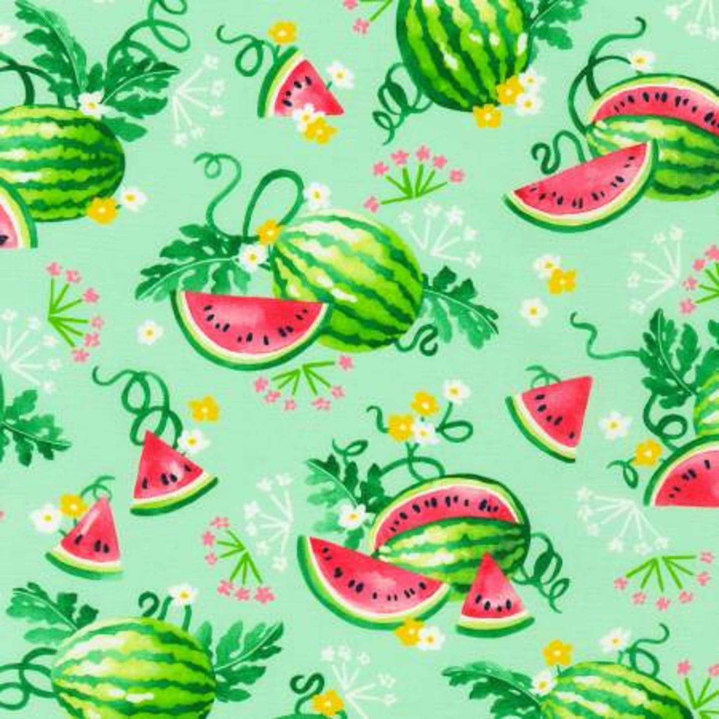 Sweetness Mint Watermelon Cotton Fabric